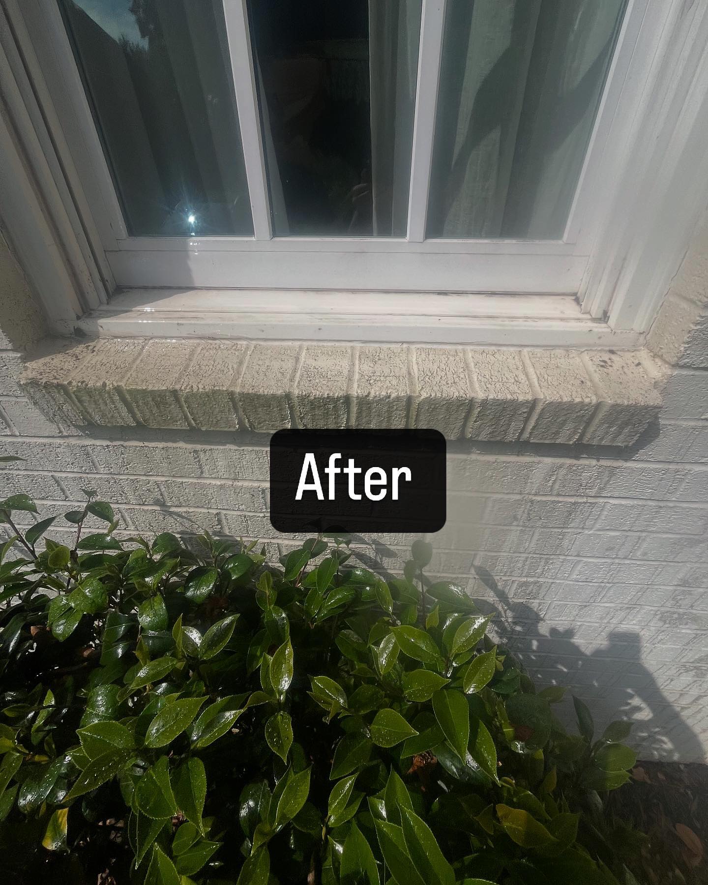 Clean window and sill after